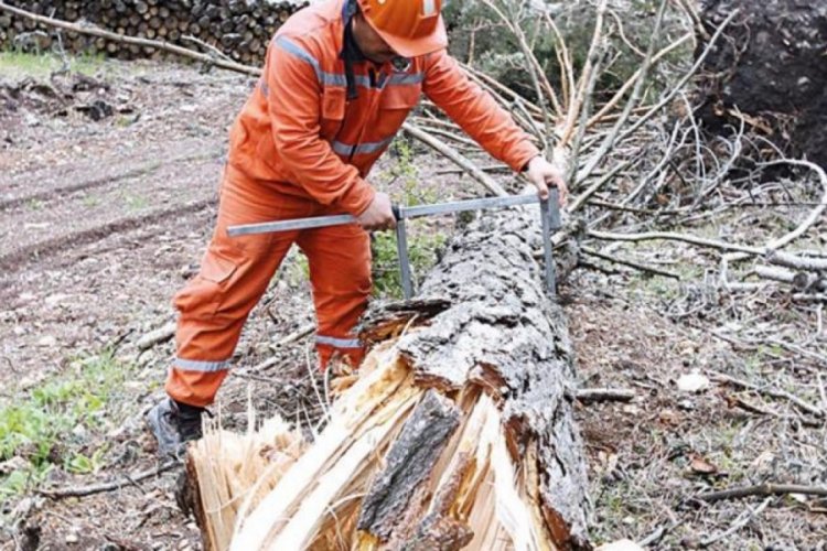 Fırtına yıktı ge&ccedil;ti! 600 ağa&ccedil; devrildi