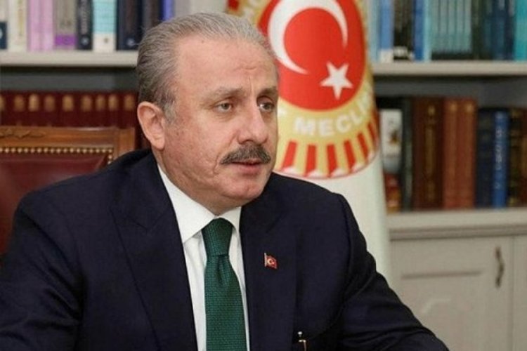 Mustafa Şentop, AK Parti'li &Ouml;zt&uuml;rk'&uuml;n resim sergisini a&ccedil;tı