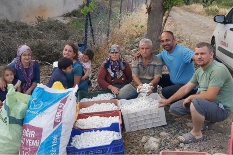 İpekb&ouml;cek&ccedil;iliğine destek arttı