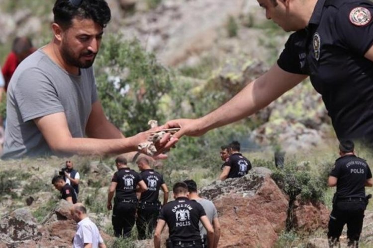 Vadide onlarca kemik ortaya &ccedil;ıktı