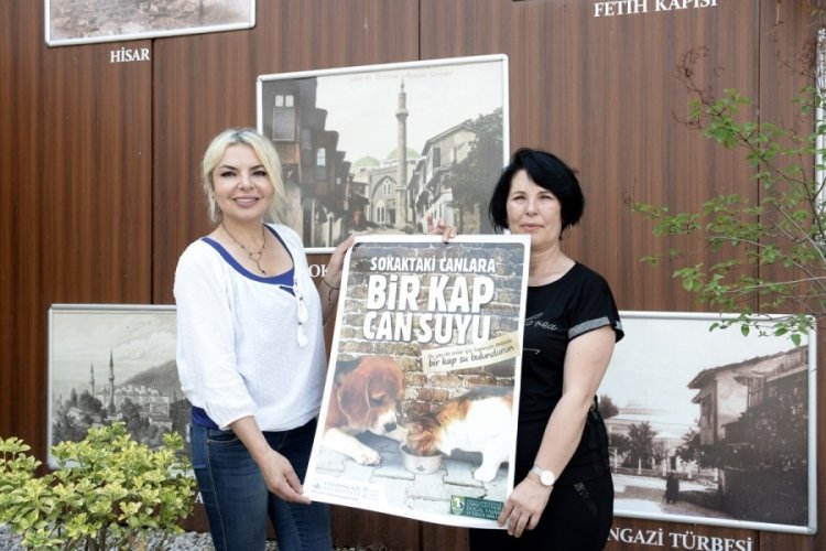 Bursa Osmangazi'de can dostlar i&ccedil;in su kabı