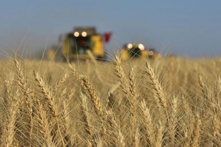 Rusya'dan tarım &uuml;r&uuml;nlerinin i&ccedil;in 'dost &uuml;lkeler' kararı