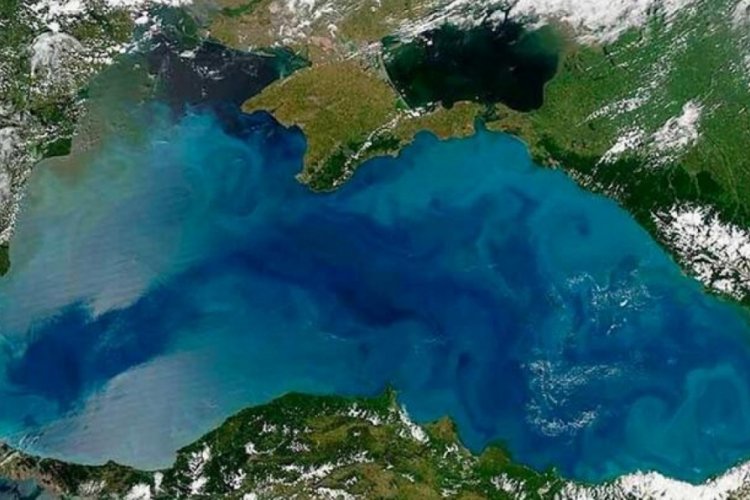 Karadeniz'den g&uuml;zel haber!