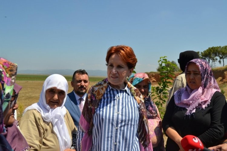 Meral Akşener: Marmara G&ouml;l&uuml;'n&uuml;n kurtarılması i&ccedil;in girişimlerde bulunacağız