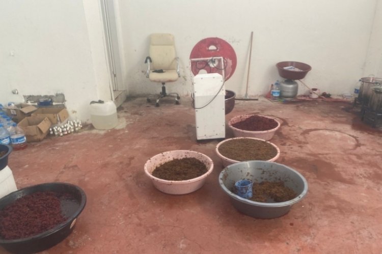 Ka&ccedil;ak nargile t&uuml;t&uuml;n&uuml; operasyonunda 2 kişi tutuklandı