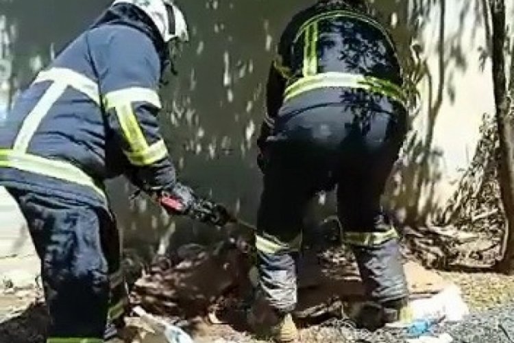 2 metre uzunluğundaki yılan yakalanarak doğaya bırakıldı