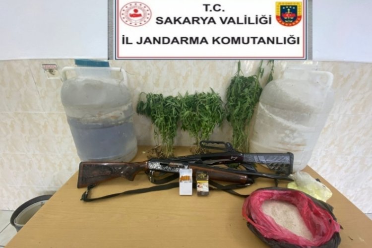 Yasadışı kenevir operasyonu: 1 g&ouml;zaltı