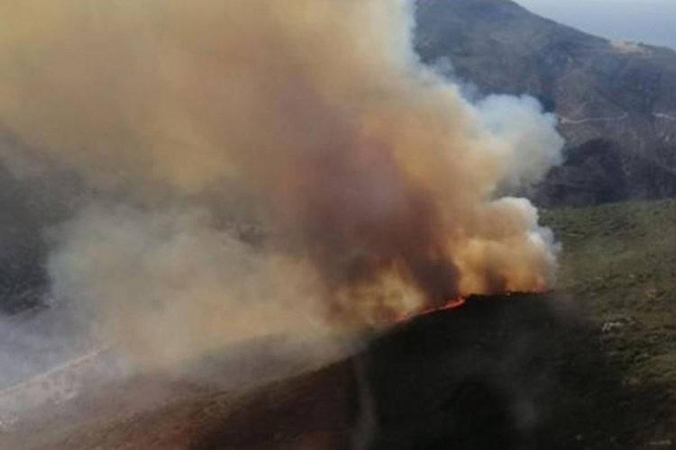 İzmir'deki orman yangını kontrol altına alındı