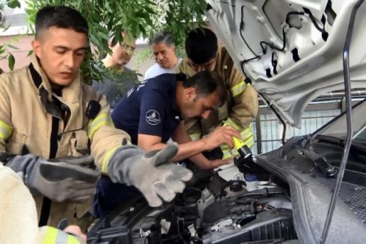 İstanbul Avcılar'da kedi ve yılan &ccedil;ıkarma operasyonu
