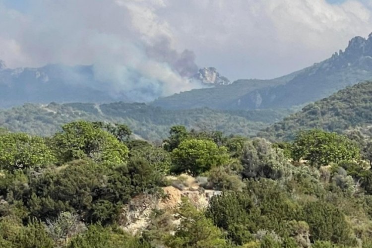 KKTC'de 3 noktada orman yangını &ccedil;ıktı