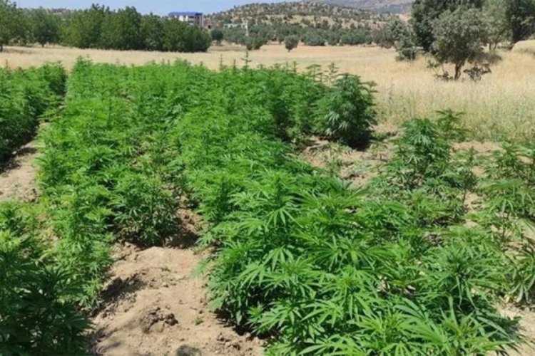 Diyarbakır'da Eren Abluka-18 Narko Ter&ouml;r Operasyonu başlatıldı