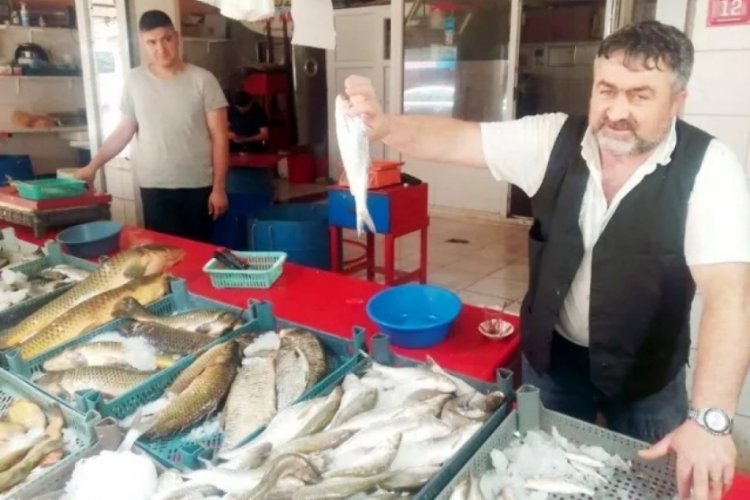 Yaz sezonu balıkları tezgahlarda satışa sunuldu