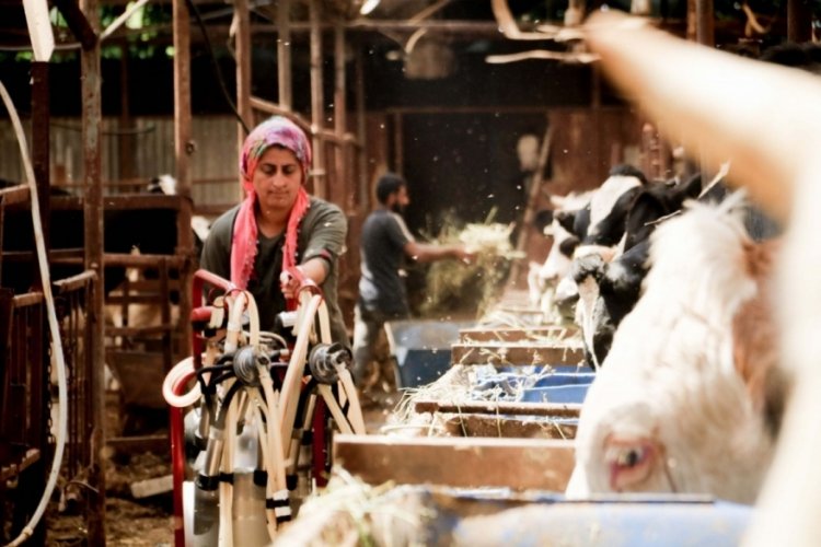 Bileziklerini sattı 5 milyonluk servetin sahibi oldu