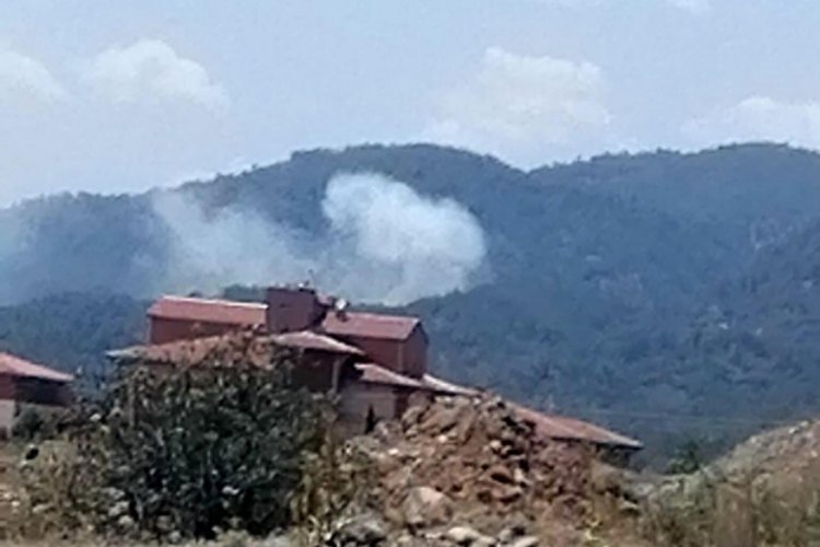Muğla'nın K&ouml;yceğiz il&ccedil;esinde de yangın &ccedil;ıktı