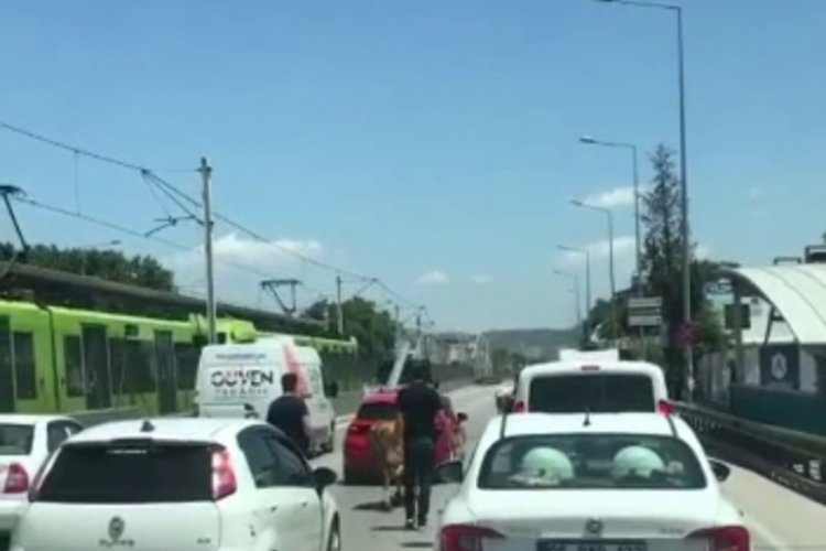 Bursa'da ka&ccedil;an boğalar trafikte ortalığı karıştırdı