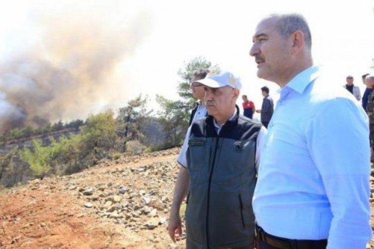 S&uuml;leyman Soylu: Herkes bir tek ağacın kurtarılması i&ccedil;in &ccedil;aba sarf ediyor
