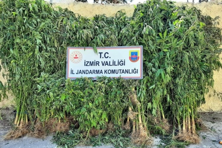 Uyuşturucu operasyonunda 2 kişiye tutuklama