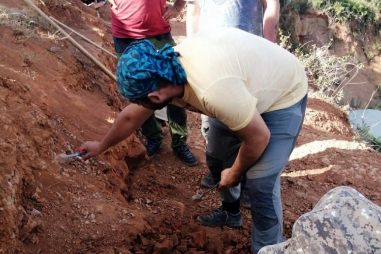 Denizli'de 8 milyon yıllık 15 farklı hayvan fosilleri bulundu