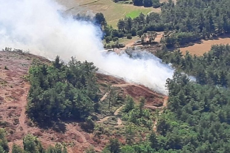 &Ccedil;anakkale Yenice'de orman yangını