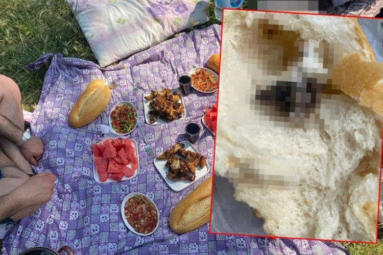 Ekmeğin i&ccedil;inden fare &ccedil;ıktı, piknik mahvoldu