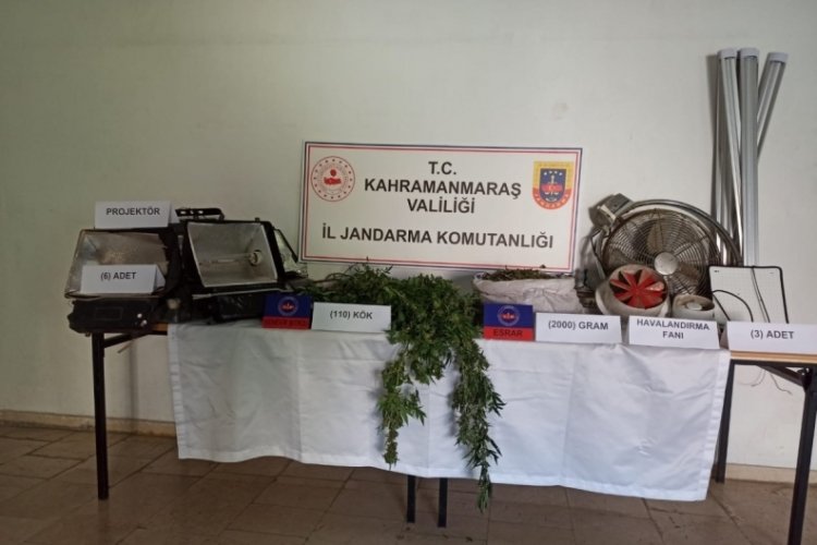 Evinde uyuşturucu yetiştiren bir kişi yakalandı