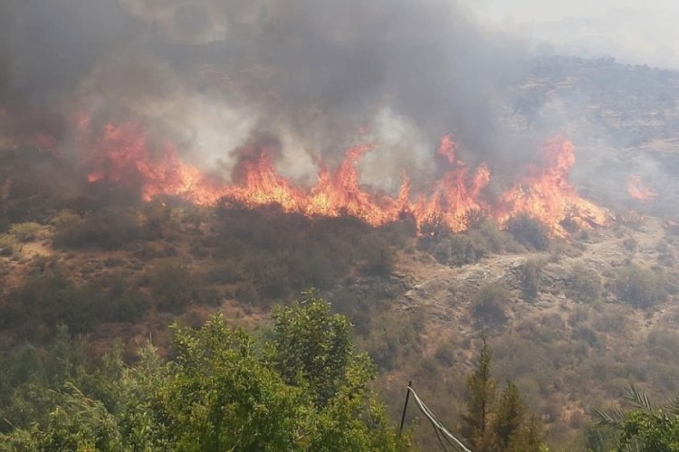 KKTC'deki orman yangınıyla ilgili sevindiren haber