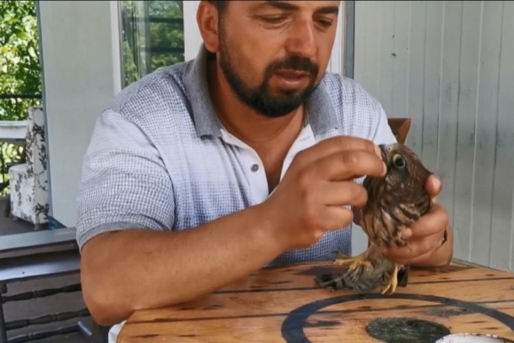 Bursa'da kendisine emanet edilen yırtıcı kuşla arkadaş oldu