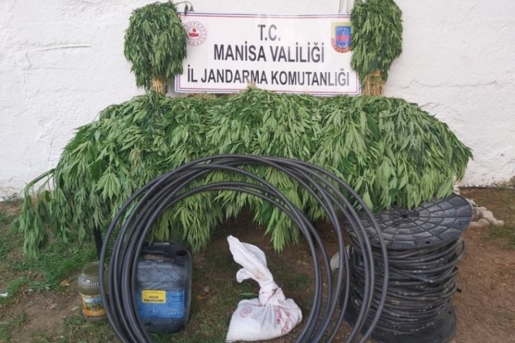 Kenevir eken şahıslar fotokapanla tespit edildi