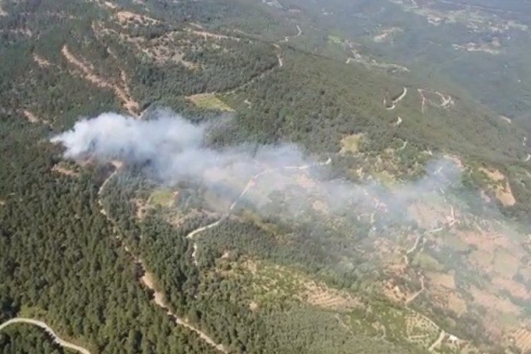 İzmir'de ormanlık alanda yangın