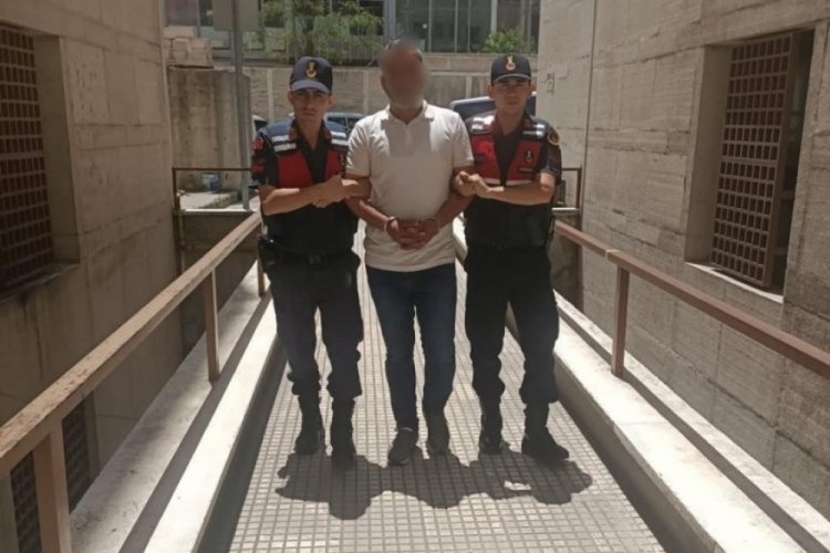 Bursa'da jandarmadan ka&ccedil;ak t&uuml;t&uuml;n operasyonu