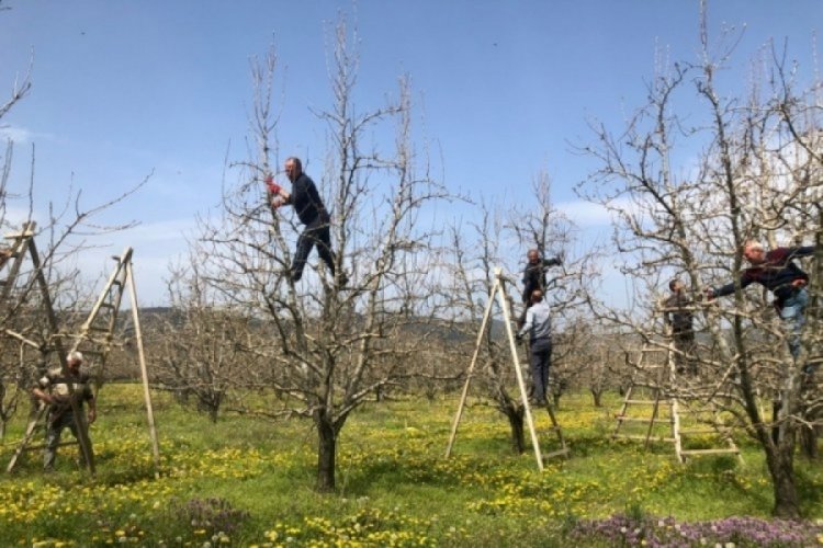 Bursa Osmangazi ve G&uuml;rsu Ziraat Odası Başkanları: Deveci armut az, şeftali bol (&Ouml;ZEL HABER)