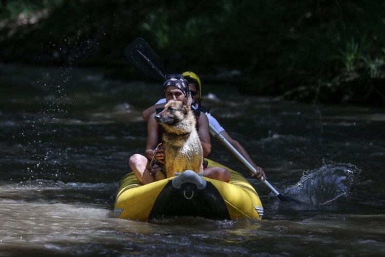 Bursa'daki rafting turlarının yeni maskotu 'Leo' oldu