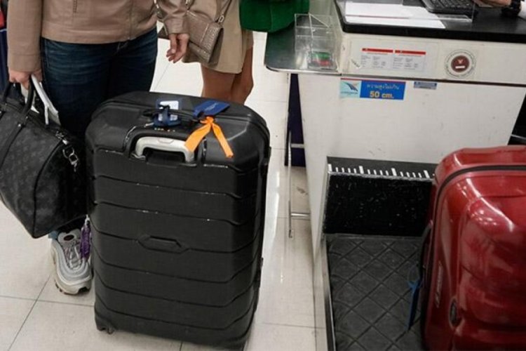 Bavulundan 109 adet canlı hayvan &ccedil;ıkarıldı