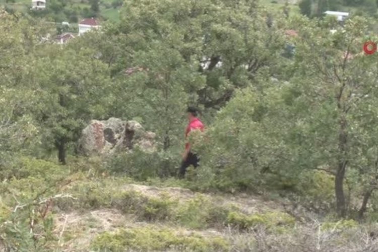 Kayseri'de kaybolan kurbanlık koyunlar dron ile bulundu