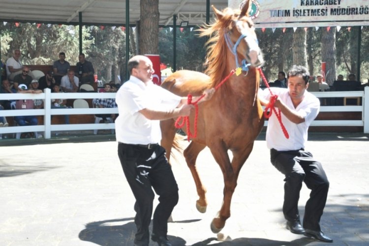 TİGEM'den 5 milyon 265 bin TL gelir