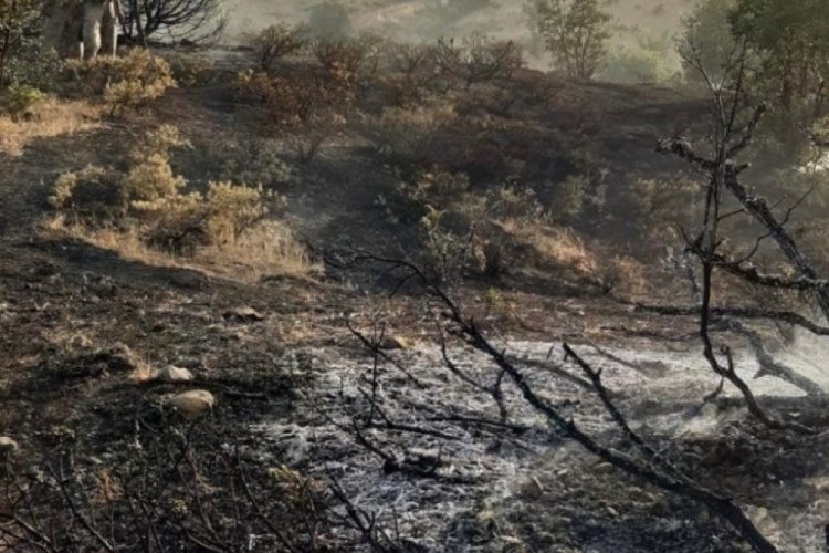 Elazığ'ın ormanlık alanında &ccedil;ıkan yangın b&uuml;y&uuml;meden s&ouml;nd&uuml;r&uuml;ld&uuml;