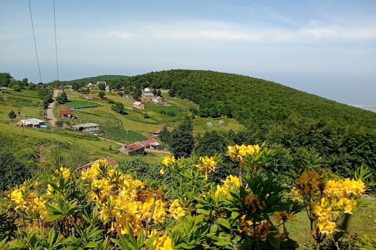 Samsun'da doğaseverler şenliğe y&uuml;r&uuml;yecek