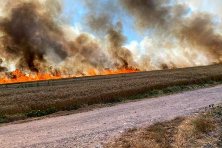 &Ccedil;orlu ile Silivri sınırında &ccedil;ıkan yangında 500 d&ouml;n&uuml;m buğday k&uuml;l oldu