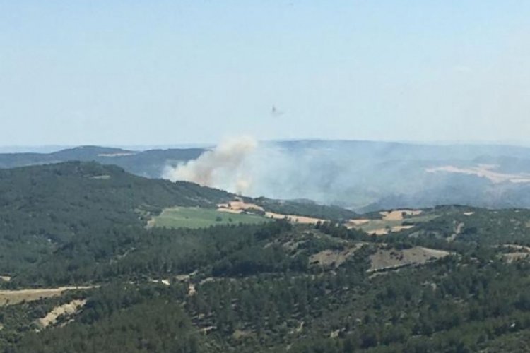 &Ccedil;anakkale'de makilik alanda yangın &ccedil;ıktı