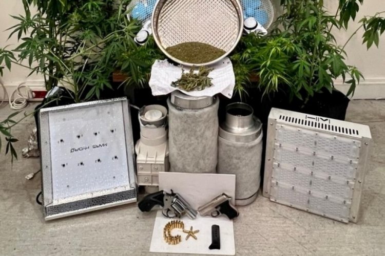 İzmir'de evinde kenevir yetiştiren kişi tutuklandı