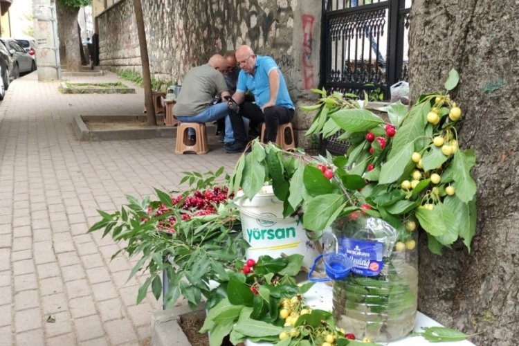 Bursa'da &ccedil;ay i&ccedil;ene &uuml;cretsiz kiraz ikram ediyor