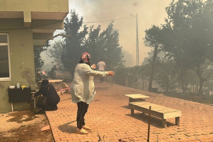 İstanbul Beykoz'da ormanlık alanda yangın