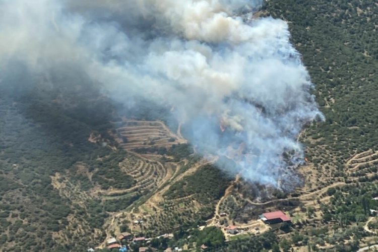 İzmir'in iki il&ccedil;esinde orman yangını &ccedil;ıktı