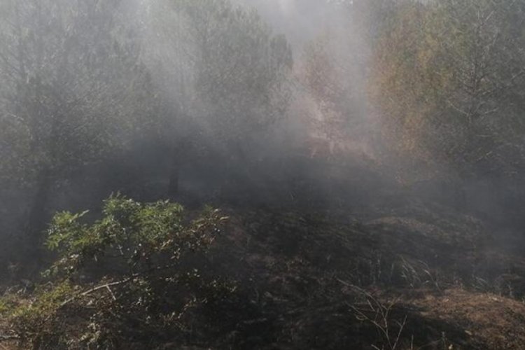 Silivri'de orman yangını: Vatandaşların yardımıyla s&ouml;nd&uuml;r&uuml;ld&uuml;