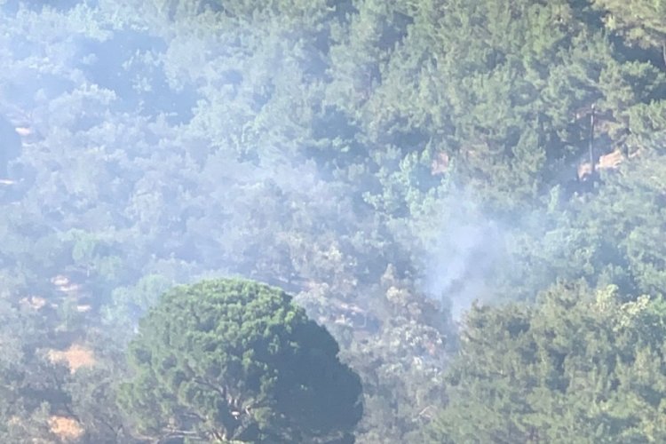 Balıkesir'in zeytinliklerindeki yangınına m&uuml;dahale edildi