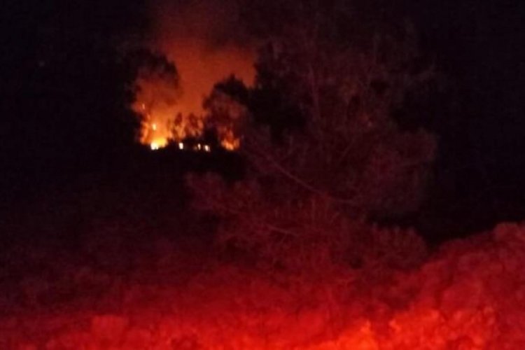 Adana'da gece &ccedil;ıkan orman yangını kontrol altında, soğutma &ccedil;alışmaları devam ediyor