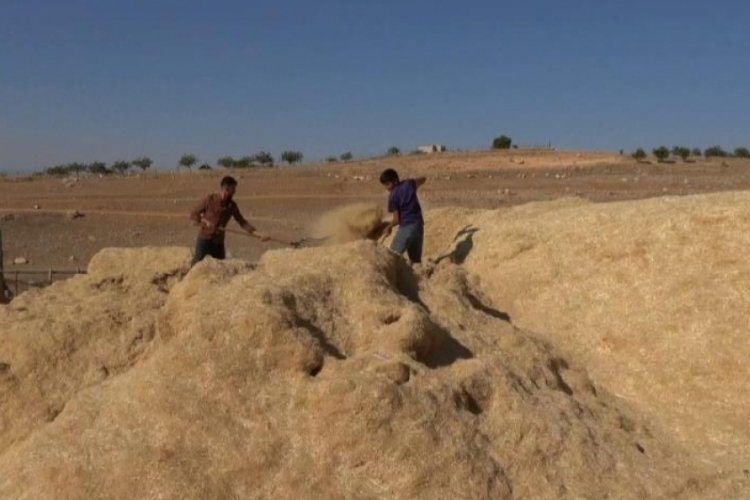 Siirt'te &ccedil;ift&ccedil;iler kış hazırlığına şimdiden başladı