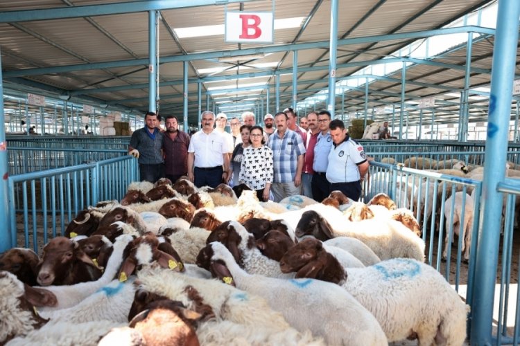 &Uuml;reticiye yapılan hibe desteği y&uuml;zleri g&uuml;ld&uuml;rd&uuml;