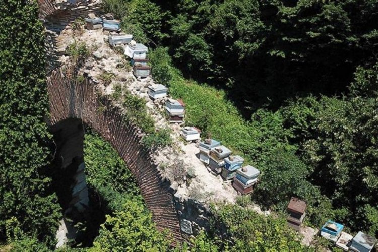 Kocaeli'de tarihi su kemerine kovan koydular: Yapı tahrip edildi
