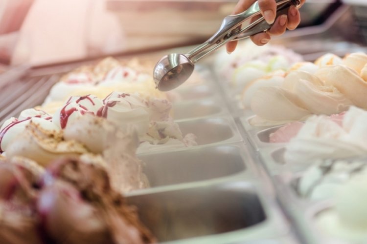 Dondurmadan ge&ccedil;en Listeria vir&uuml;s&uuml; can aldı